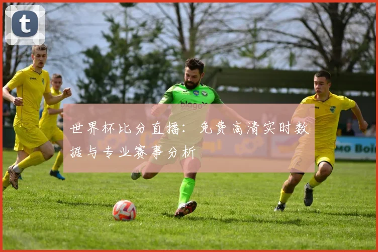 世界杯比分直播：免费高清实时数据与专业赛事分析