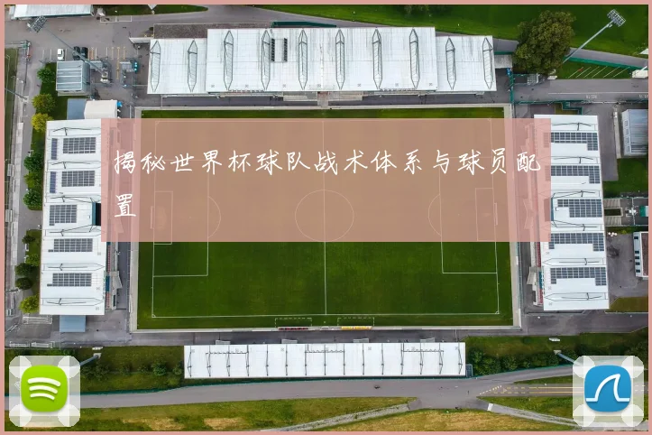 揭秘世界杯球队战术体系与球员配置
