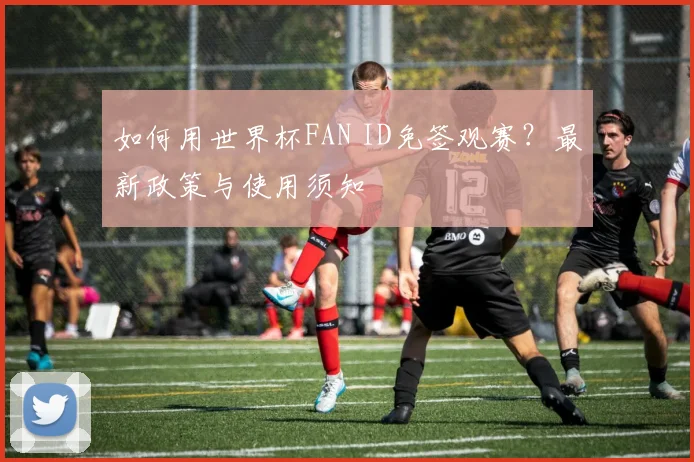 如何用世界杯FAN ID免签观赛？最新政策与使用须知