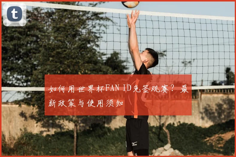 如何用世界杯FAN ID免签观赛？最新政策与使用须知
