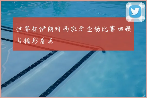 世界杯伊朗对西班牙全场比赛回顾与精彩看点