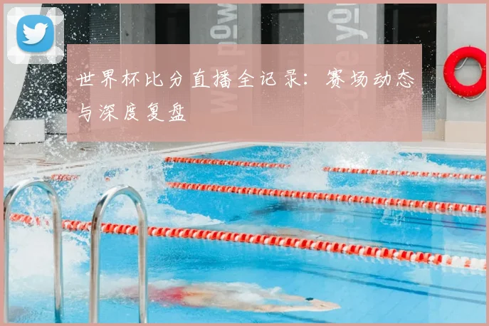 世界杯比分直播全记录：赛场动态与深度复盘