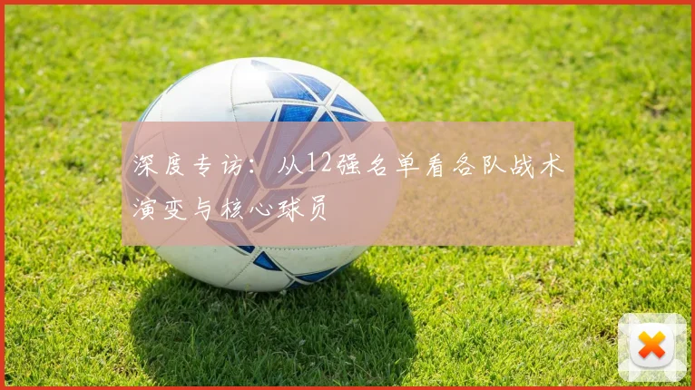 深度专访：从12强名单看各队战术演变与核心球员