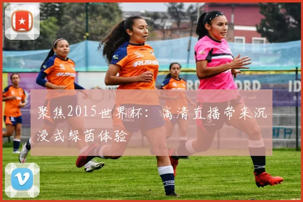 聚焦2015世界杯：高清直播带来沉浸式绿茵体验